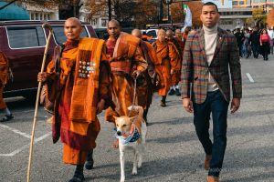 A Quiet Walk, A Powerful Moment